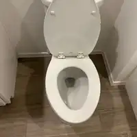 Cleaning detail toilet